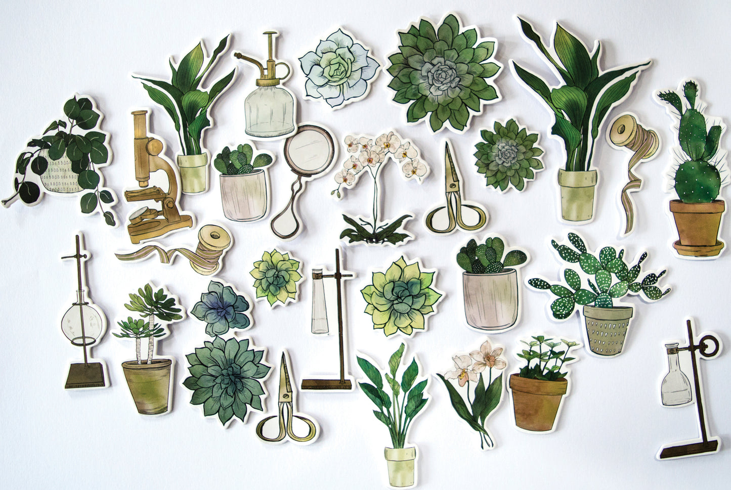 Craft Consortium 'Botany Boutique' Chipboard Ephemera